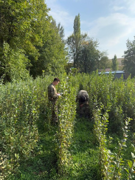 image 14 10 25 02 03 5